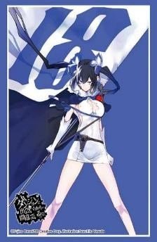 Is It Wrong to Try to Pick Up Girls in a Dungeon? “Hestia” Bushiroad Sleeve Collection HG Vol. 5147"