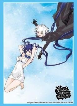 Is It Wrong to Try to Pick Up Girls in a Dungeon?  “Hestia & Bell” Bushiroad Sleeve Collection HG Vol. 5148