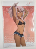 Fate/kaleid liner Prisma Illya "Chloe" Clear File A4 Size Curtain Damashii