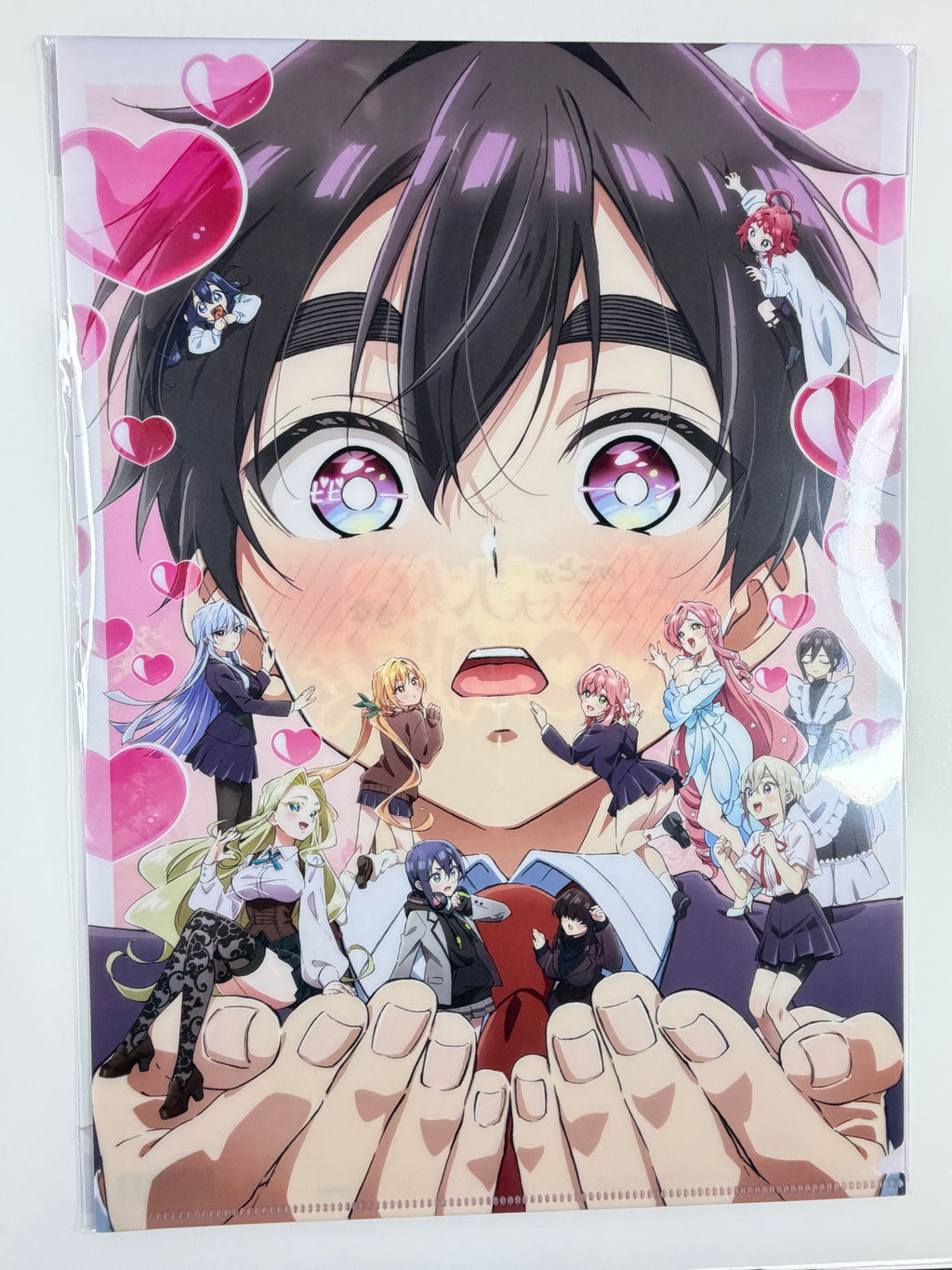 The 100 Girlfriends Who Really, Really, Really, Really, Really Love You  Clear File A4 Size Movic