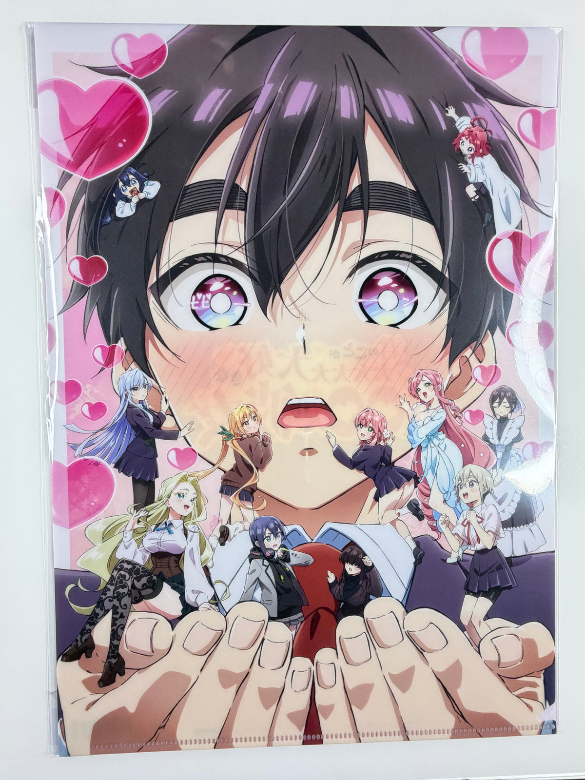 The 100 Girlfriends Who Really, Really, Really, Really, Really Love You  Clear File A4 Size Movic